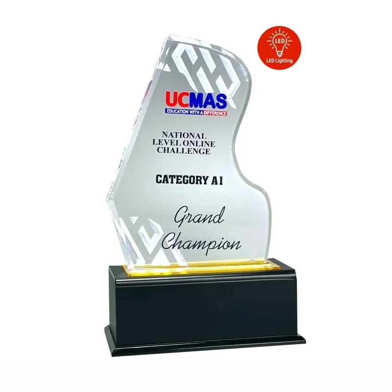 LED Lighting Innovative Design Acrylic Plaque 5173 product image