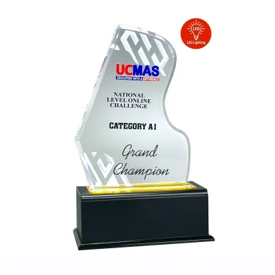 LED Lighting Innovative Design Acrylic Plaque 5173