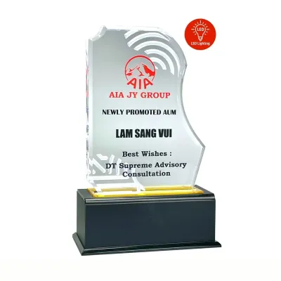LED Lighting Innovative Design Acrylic Plaque 5176