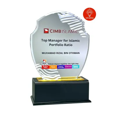 LED Lighting Innovative Design Acrylic Plaque 5177
