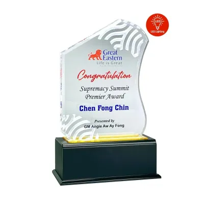 LED Lighting Innovative Design Acrylic Plaque 5178
