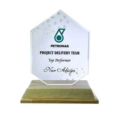 Innovative Design Acrylic Star Plaque 5180