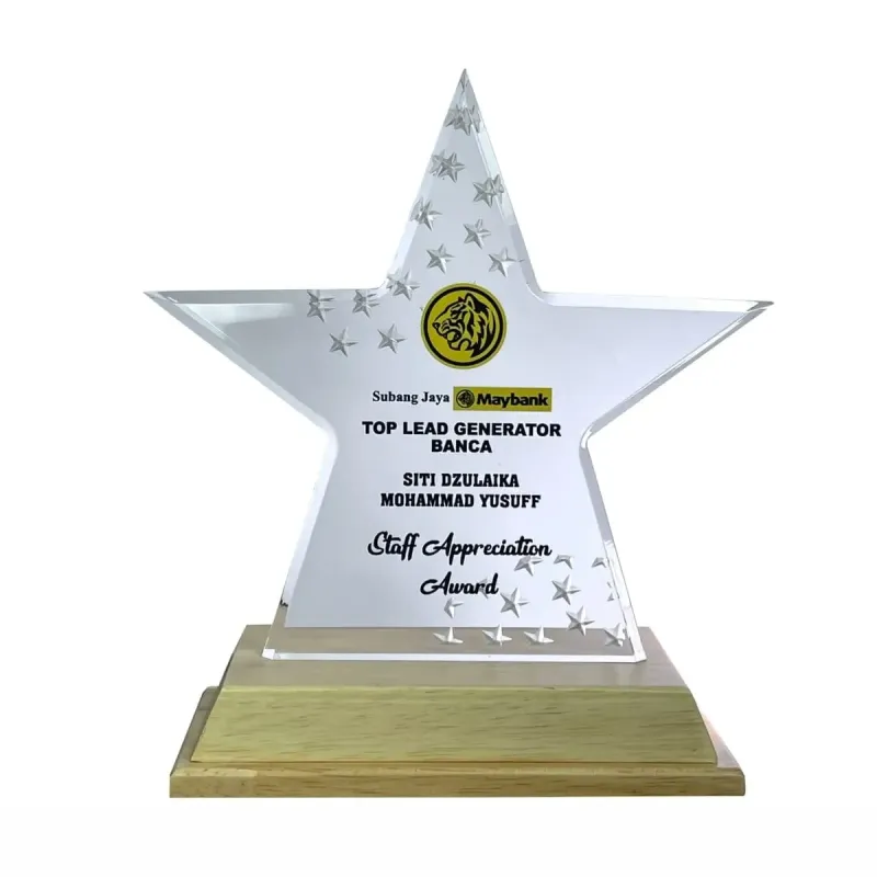 Innovative Design Acrylic Star Plaque 5181 product image