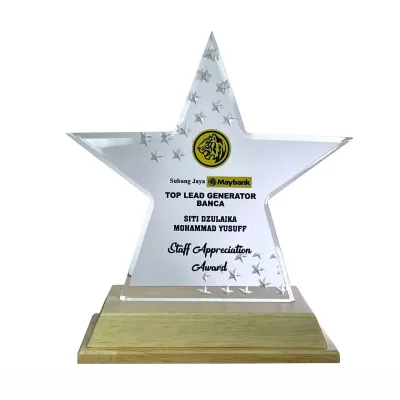 Innovative Design Acrylic Star Plaque 5181