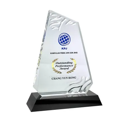 Innovative Design Acrylic Plaque 5184