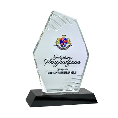 Innovative Design Acrylic Plaque 5185