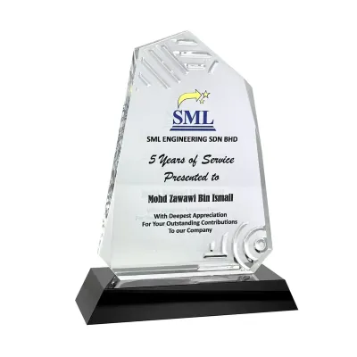 Innovative Design Acrylic Plaque 5186