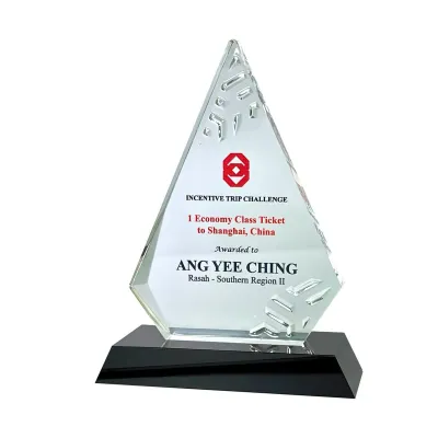 Innovative Design Acrylic Plaque 5187