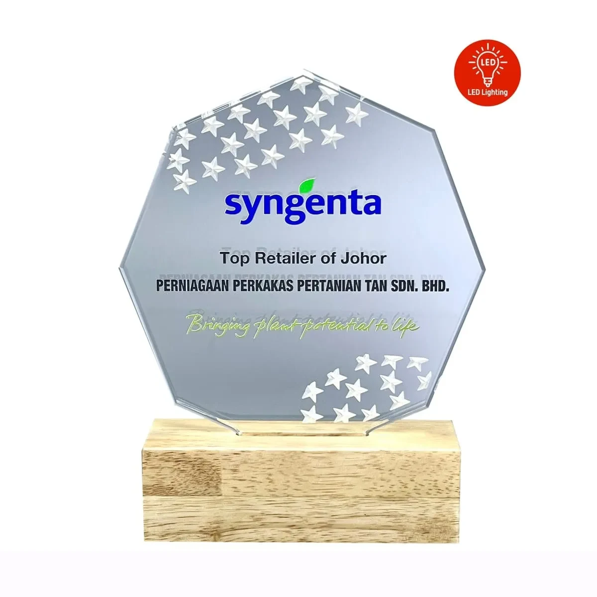 LED Lighting Innovative Design Acrylic Plaque 5191