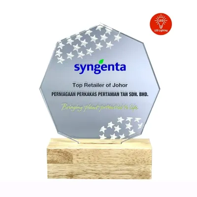 LED Lighting Innovative Design Acrylic Plaque 5191