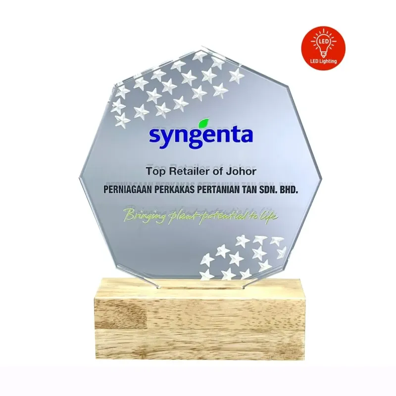 LED Lighting Innovative Design Acrylic Plaque 5191 product image