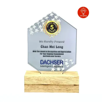 LED Lighting Innovative Design Acrylic Plaque 5192