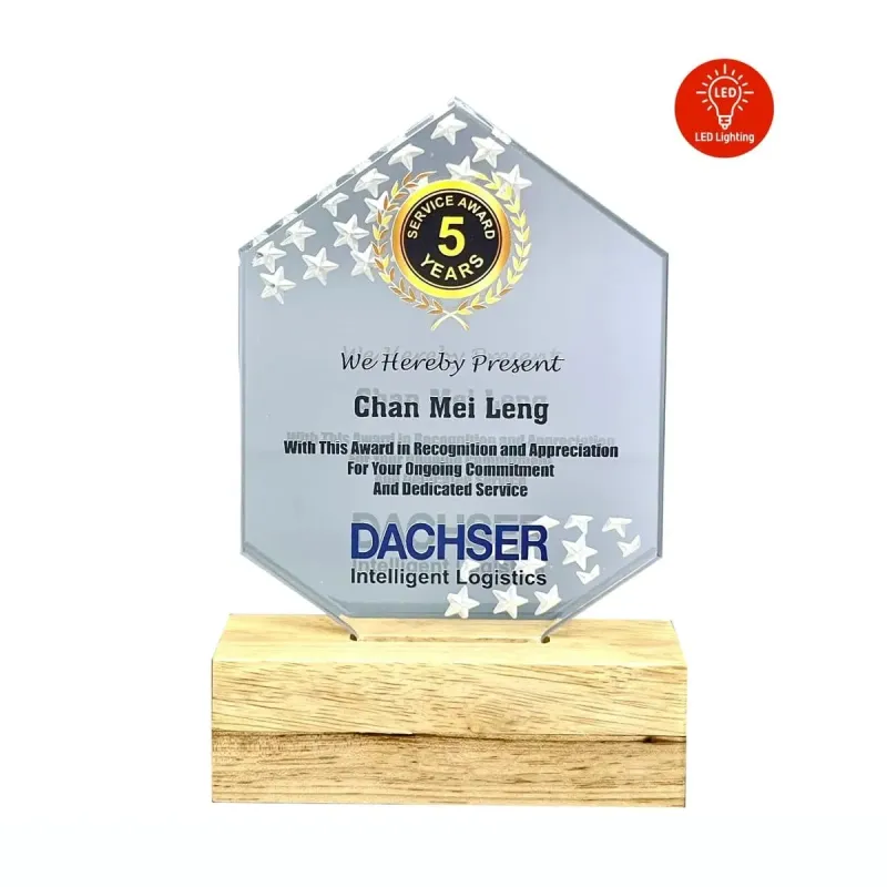LED Lighting Innovative Design Acrylic Plaque 5192 product image