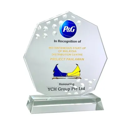 Innovative Design Acrylic Plaque 5194