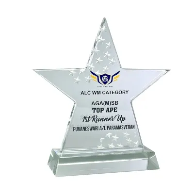 Innovative Design Acrylic Star Plaque 5196