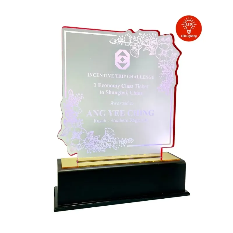 LED Lighting Innovative Design Acrylic Plaque 5198 product image