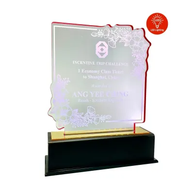 LED Lighting Innovative Design Acrylic Plaque 5198