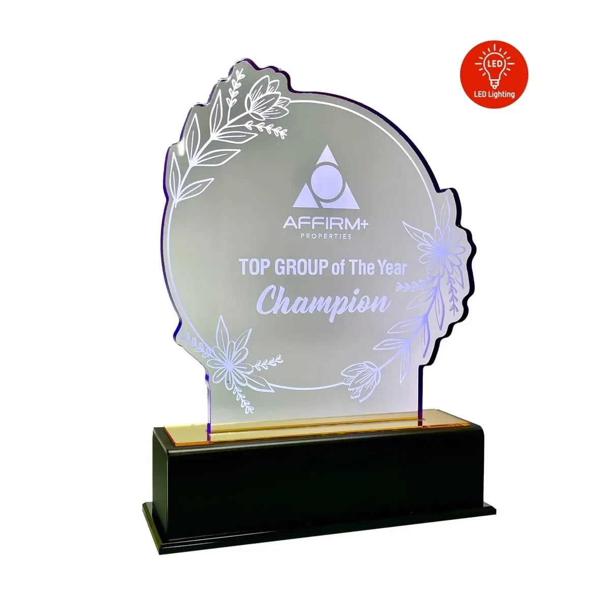 LED Lighting Innovative Design Acrylic Plaque 5199