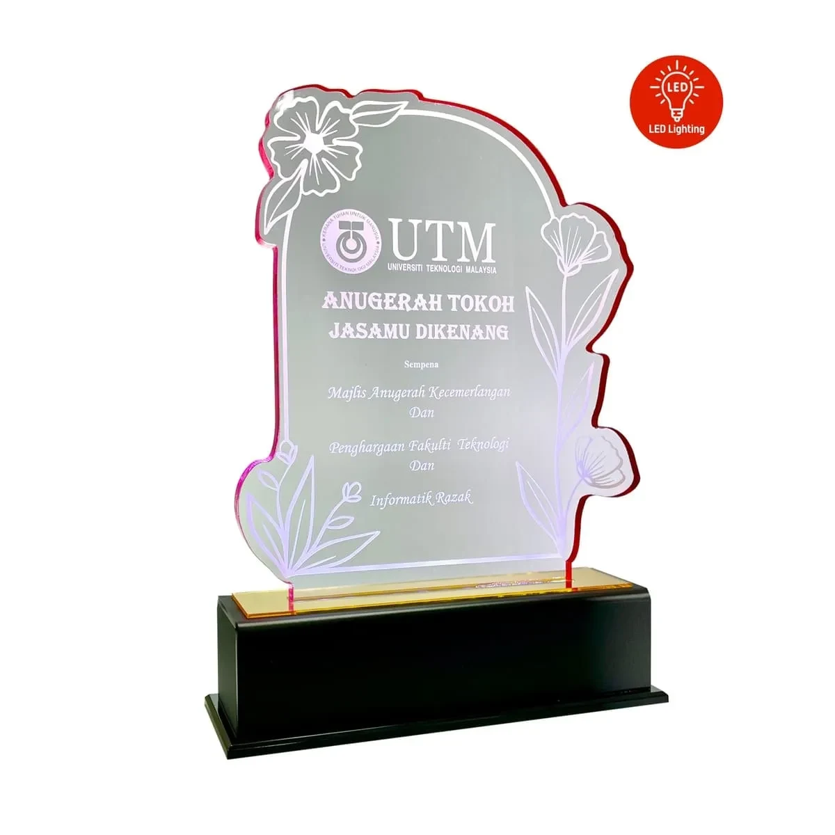 LED Lighting Innovative Design Acrylic Plaque 5202