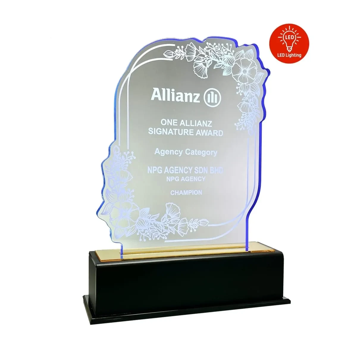 LED Lighting Innovative Design Acrylic Plaque 5203