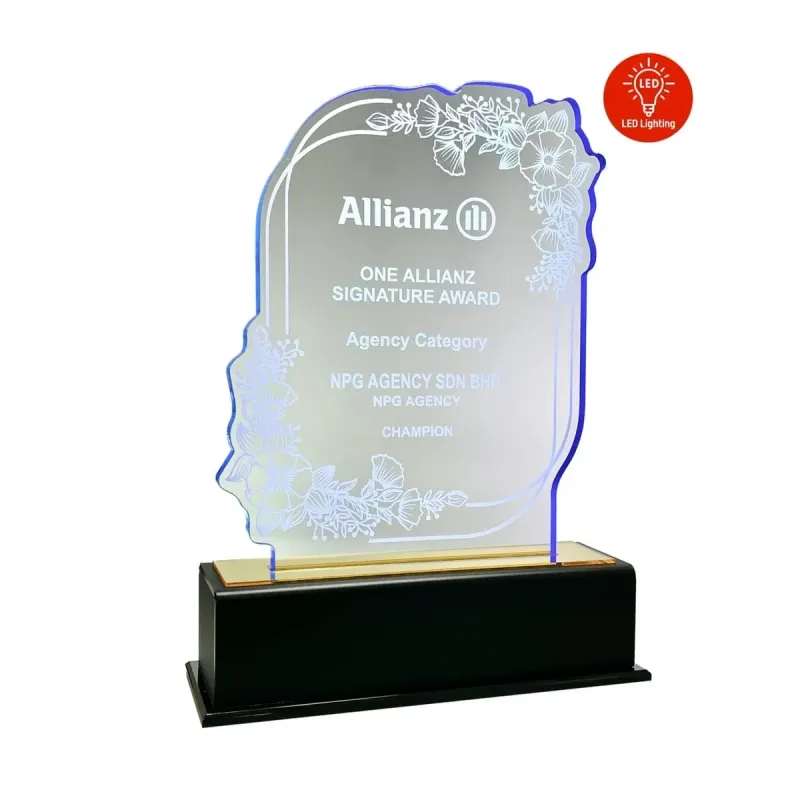 LED Lighting Innovative Design Acrylic Plaque 5203 product image