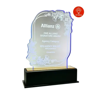 LED Lighting Innovative Design Acrylic Plaque 5203