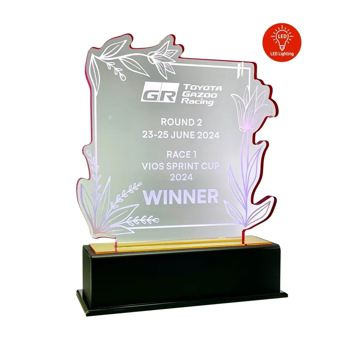 LED Lighting Innovative Design Acrylic Plaque 5204