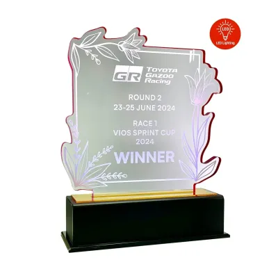 LED Lighting Innovative Design Acrylic Plaque 5204