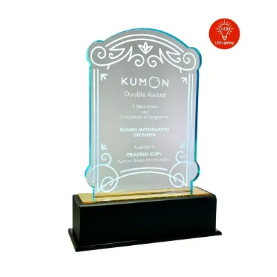 LED Lighting Innovative Design Acrylic Plaque 5205
