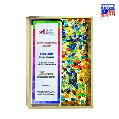 Premium Color Gem Frame 5223