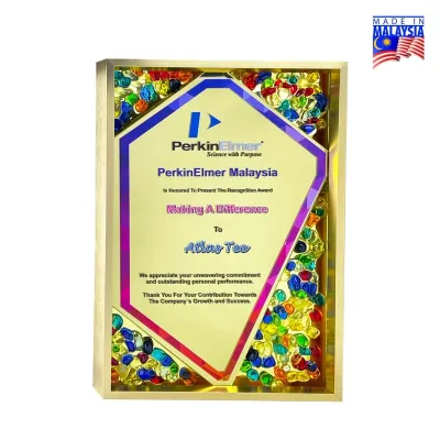 Premium Color Gem Frame 5225