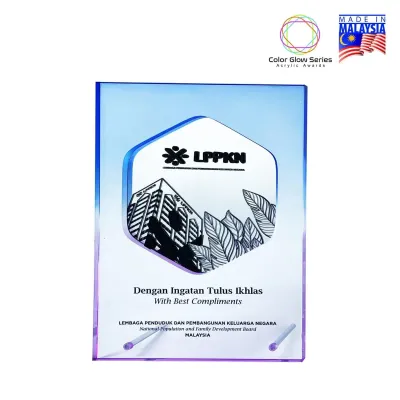 Color Glow Acrylic Plaque (HEXAGON) 5231
