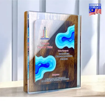 Innovative Design Acrylic Plaque 5235