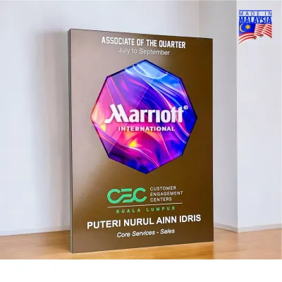 Innovative Design Acrylic Plaque 5239