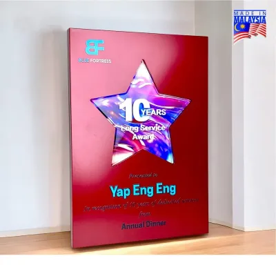 Innovative Design Acrylic Plaque 5240