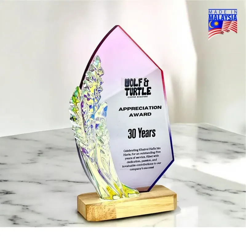 Color Glow Acrylic Plaque 5270 product image