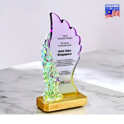 Color Glow Acrylic Plaque 5271