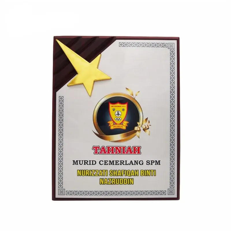 Wooden Plaque with Gold Star 7087 product image