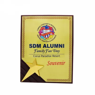 Wooden Plaque with Gold Star 7088