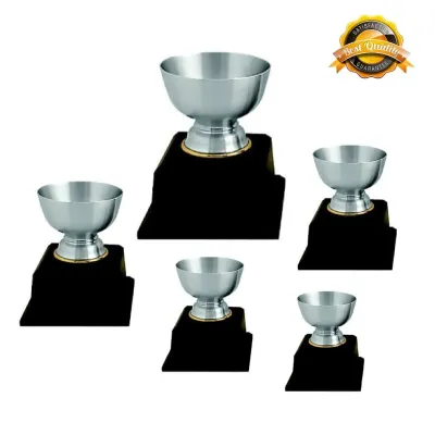 Pewter Trophy P-7200(G)