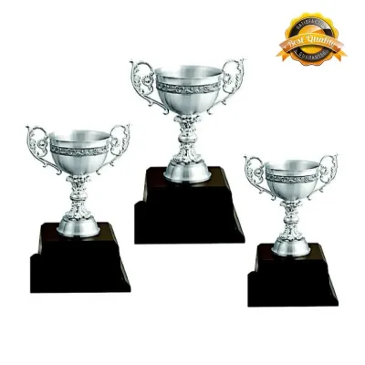 Pewter Trophy P-7208