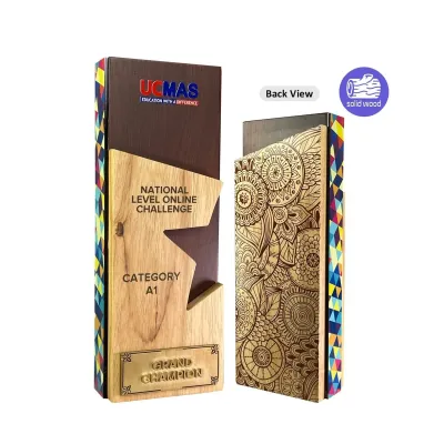 New Creative Design Wooden Star Plaque 7508