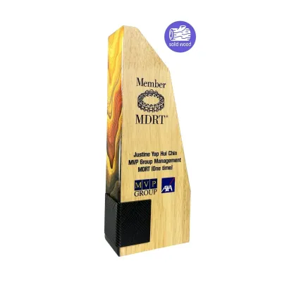 New Creative Design Wooden Plaque 7535