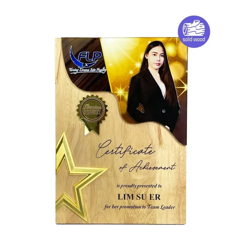 New Creative Design Wooden Star Plaque 7549 product image