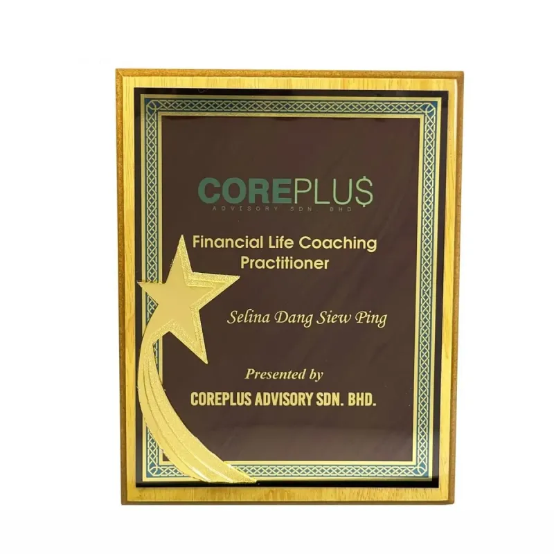 New Creative Design Wooden Star Plaque 7555 product image