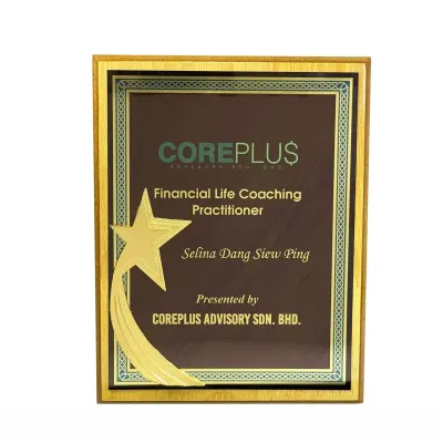 New Creative Design Wooden Star Plaque 7555