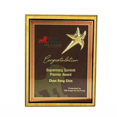 New Creative Design Wooden Plaque 7556