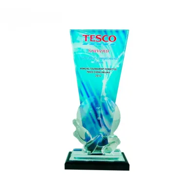 Exclusive Crystal Glass Awards 8111