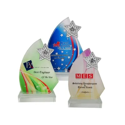 Exclusive Crystal Glass Star Awards 8201