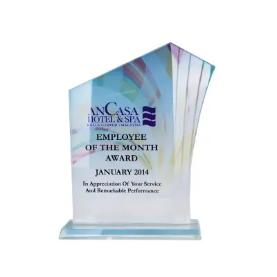 Exclusive Crystal Glass Awards 8221